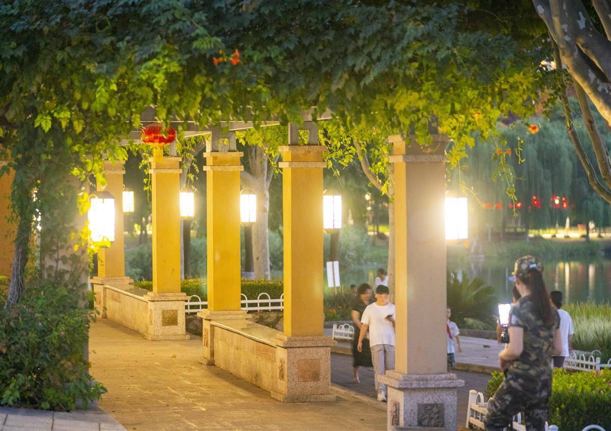 金鲨银鲨哪里有